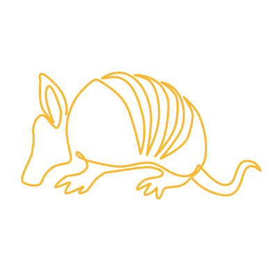 circle-armadillo