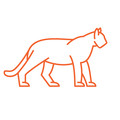 circle-orange-bigcat